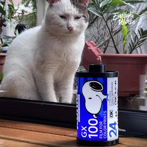 Peut inclure: Un récipient cylindrique doté d'une étiquette bleue et blanche avec un graphique du personnage Snoopy. L'étiquette comprend le texte GX 100, FILM FOR COLOR PRINTS, 24 et DX. Le récipient possède des capuchons noirs et une protubérance centrale.