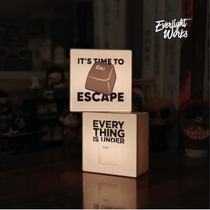 May include: Two illuminated square lamps stacked on top of each other. The top lamp reads "IT'S TIME TO ESCAPE" with a brown "Esc" key graphic. The bottom lamp reads "EVERYTHING IS UNDER Ctrl". The lamps are on a dark surface.