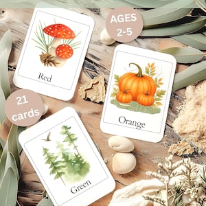 Könnte beinhalten: Ein Set aus 21 Lernkarten zu Naturfarben für 2- bis 5-Jährige mit Aquarellillustrationen von einem roten Pilz, orangen Kürbissen und grünen Tannenbäumen. Text: NATURE COLOUR FLASHCARDS und INSTANT DOWNLOAD.