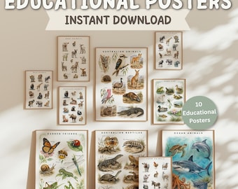 May include: A collection of 10 educational posters featuring illustrations of Australian animals, reptiles, ocean life, pond life, and garden insects. Each poster displays various species with their names printed in black text on a white background.