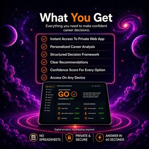 Personalized Career Coaching | Your Own Web App | Decision Tool for Career Transition image 3