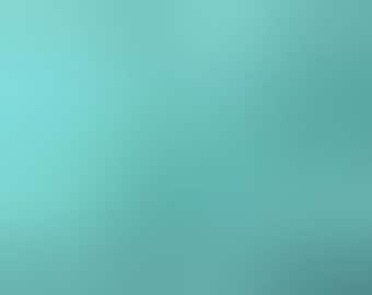 Stream Green Imperial Broadcloth / Poly-Cotton Fabric / Permanent Press / No-Iron Broadcloth / Spechler-Vogel / 45" wide / 529