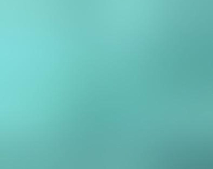 Stream Green Imperial Broadcloth / Poly-Cotton Fabric / Permanent Press / No-Iron Broadcloth / Spechler-Vogel / 45" wide / 529