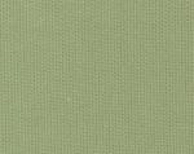 Pique Fabric/ Olive /100% Cotton / 60 Inches Wide / Pleats for Smocking /  by Fabric Finders