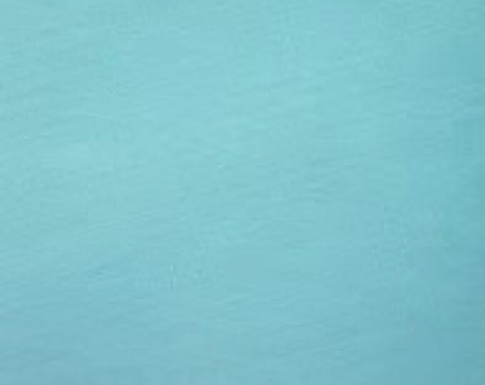 Sky Blue Imperial Broadcloth / Poly-Cotton Fabric / Permanent Press / No-Iron Broadcloth / Spechler-Vogel / 60" wide /