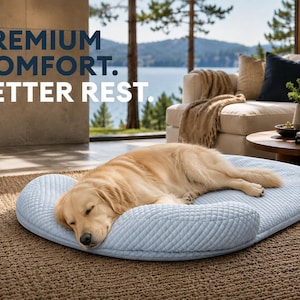 May include: A light blue, quilted, oval-shaped pet bed with raised edges. A golden retriever is sleeping on the bed. The text "PREMIUM COMFORT. BETTER REST." is visible in the upper left corner of the image.
