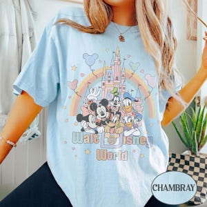 May include: Light blue t-shirt featuring a colorful graphic of Disney characters, a castle, and a rainbow. The text "Walt Disney World" is printed below the characters. The shirt has short sleeves.
