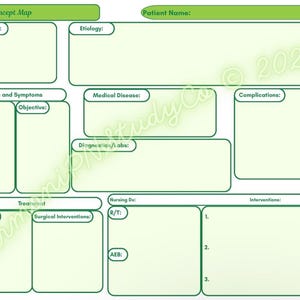 May include: A green and white nursing concept map template with labeled sections for risk factors, signs, symptoms, medical disease, and interventions. The top banner reads "Nursing Concept Map" and "Patient Name:"