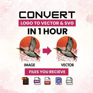 May include: A digital service advertisement titled CONVERT LOGO TO VECTOR & SVG IN 1 HOUR. It displays a mallard duck illustration transitioning from a raster image to a vector graphic, followed by the text FILES YOU RECIEVE and five file icons: AI, SVG, PDF, EPS, and PNG.