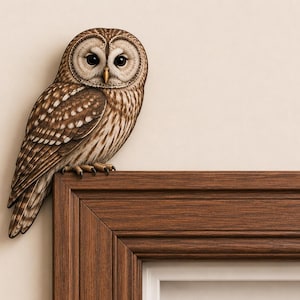 May include: A brown and white owl figurine with dark eyes and a yellow beak perched on the top corner of a dark brown wooden picture frame. The owl features detailed feather patterns in shades of brown, tan, and cream, with a rounded face.