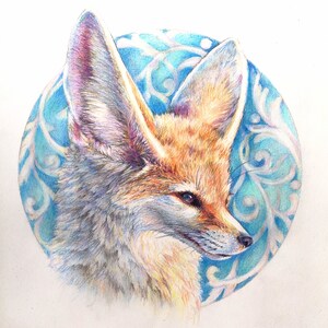 May include: A detailed pencil drawing of a fennec fox with large ears, set against a blue and white background with a swirling pattern.