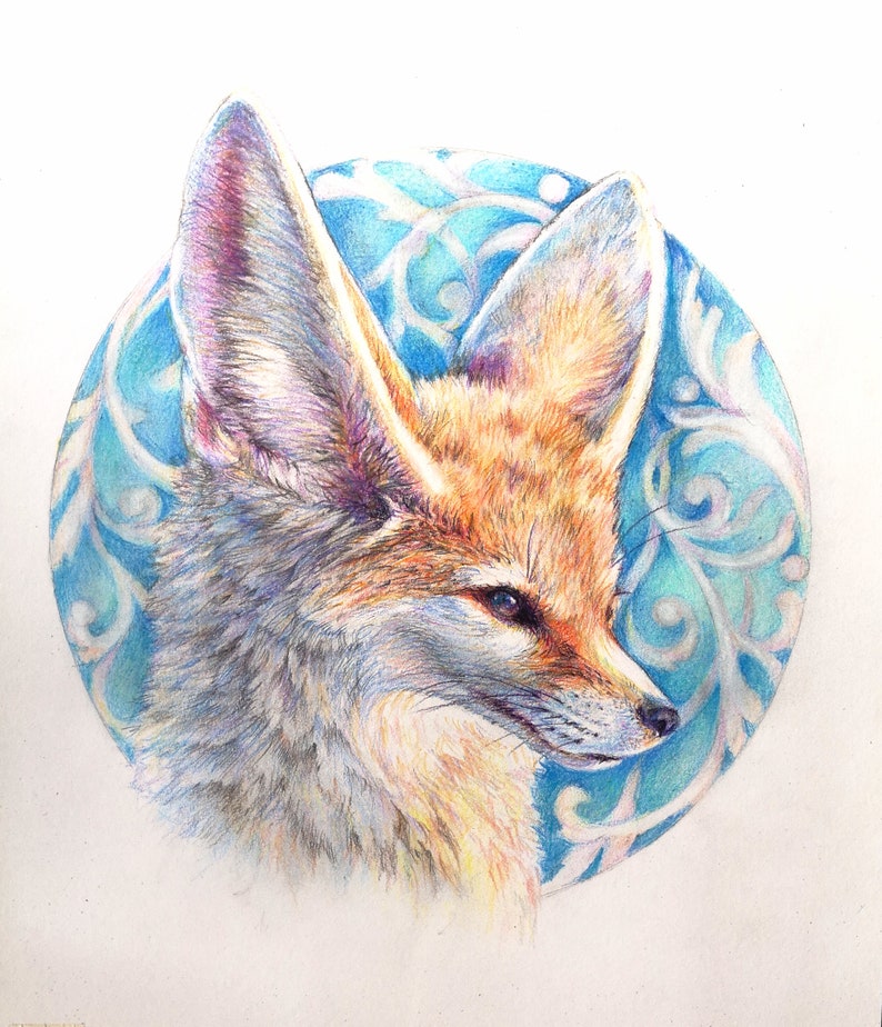 May include: A detailed pencil drawing of a fennec fox with large ears, set against a blue and white background with a swirling pattern.