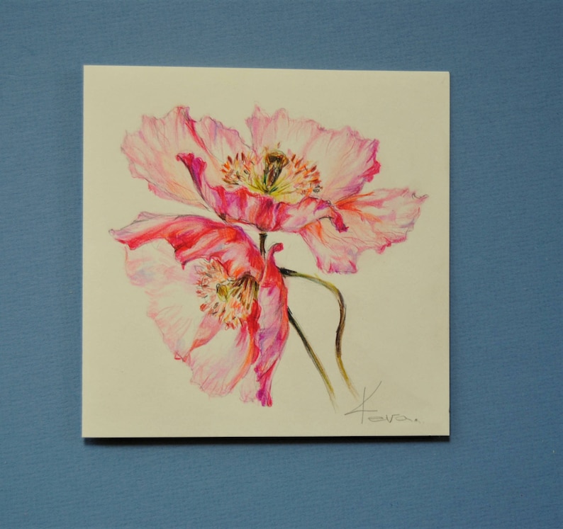 Red Poppies Hand Drawing Card Flowers Card Colored pencil Greeting Card