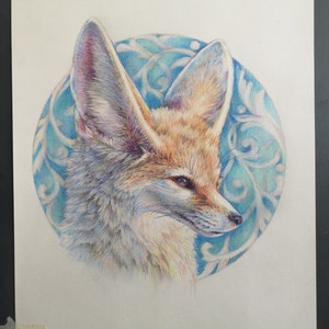 May include: A detailed pencil drawing of a fennec fox with large ears, set against a blue and white patterned background.
