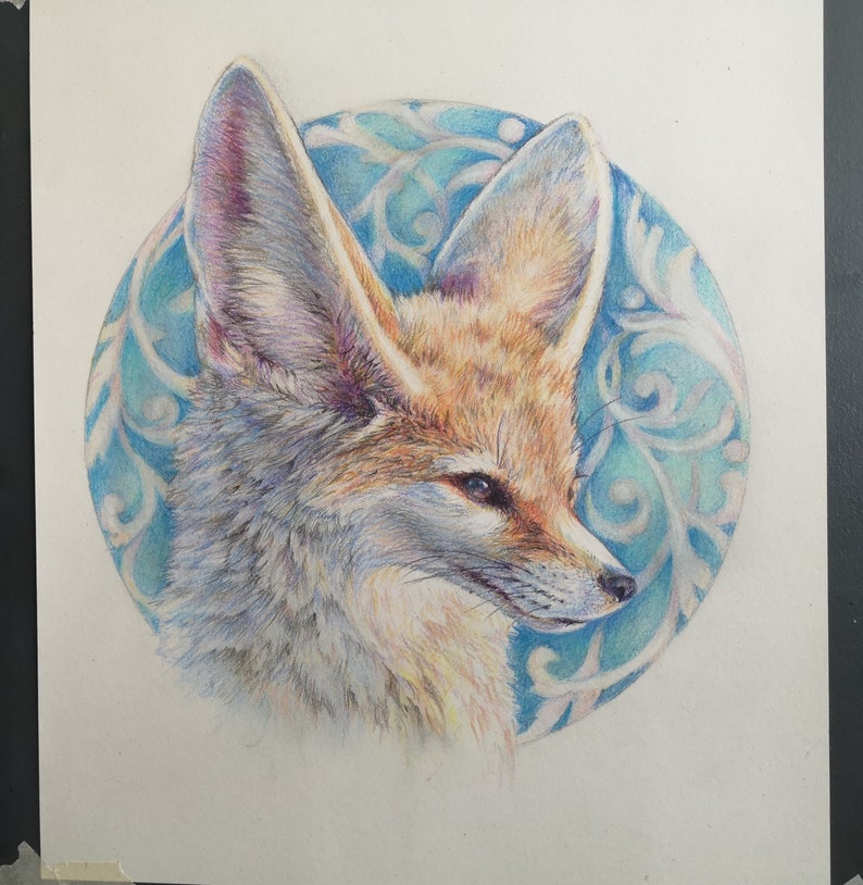 May include: A detailed pencil drawing of a fennec fox with large ears, set against a blue and white patterned background.