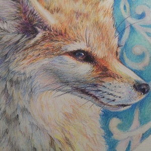 May include: A close-up of a fox's face drawn in coloured pencil. The fox has orange fur, a white muzzle, and a blue eye. The background is a blue and white swirl pattern.