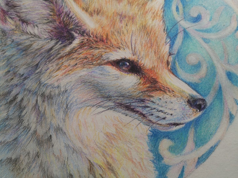 May include: A close-up of a fox's face drawn in coloured pencil. The fox has orange fur, a white muzzle, and a blue eye. The background is a blue and white swirl pattern.