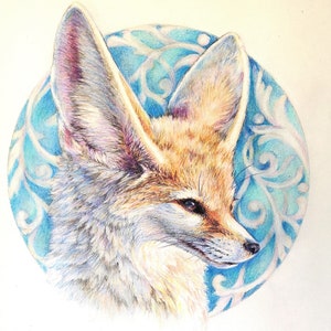 May include: A detailed pencil drawing of a fennec fox with large ears, set against a blue and white background with a swirling pattern.