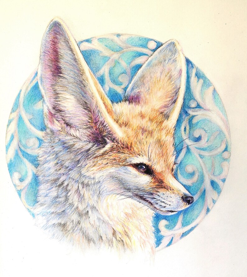 May include: A detailed pencil drawing of a fennec fox with large ears, set against a blue and white background with a swirling pattern.
