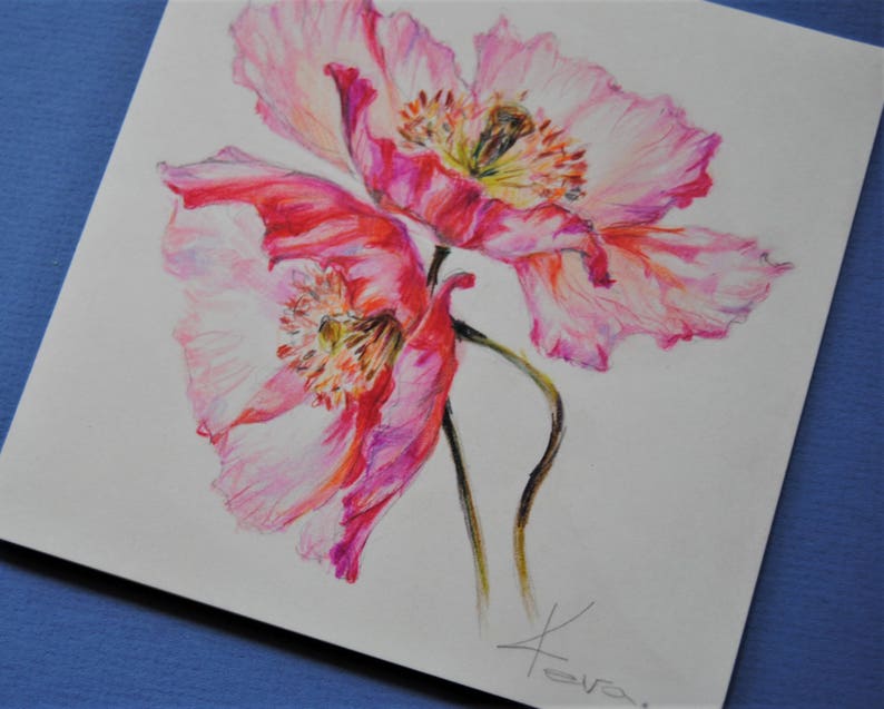 Red Poppies Hand Drawing Card Flowers Card Colored pencil Greeting Card