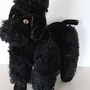 Può includere: Un giocattolo di peluche di barboncino nero con occhi marroni e un lungo pelo riccio. Il giocattolo è in piedi su una superficie bianca.