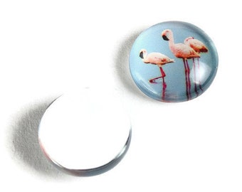 12mm Blue Pink Flamingo cabochons - 12mm tropical cabochons - 12mm flat round cabochon - 12mm glass cabochon - 12mm Printed Cabochons (2130)