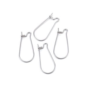 BEADNOVA Earring Hooks 200pcs Earring Findings Kits with Earring Backs Fish Hook Earrings for Jewelry Making DIY Earrings Supplies (200pcs Earring