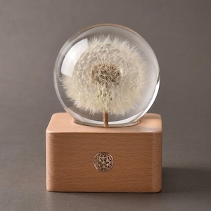 GARDEN Forever Teddy Słonecznik Kryształowa Kula Prezent dla Kobiet na Walentynki Rocznicę Dzień Matki Urodziny Święto Dziękczynienia Boże Narodzenie Ślub