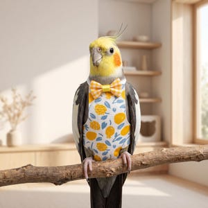 May include: A cockatiel wearing a white bird diaper featuring a yellow and blue fruit pattern, accented with a yellow and white gingham bow tie at the neck. The bird has a yellow crest, grey wings, and orange cheek patches while perched on a branch.