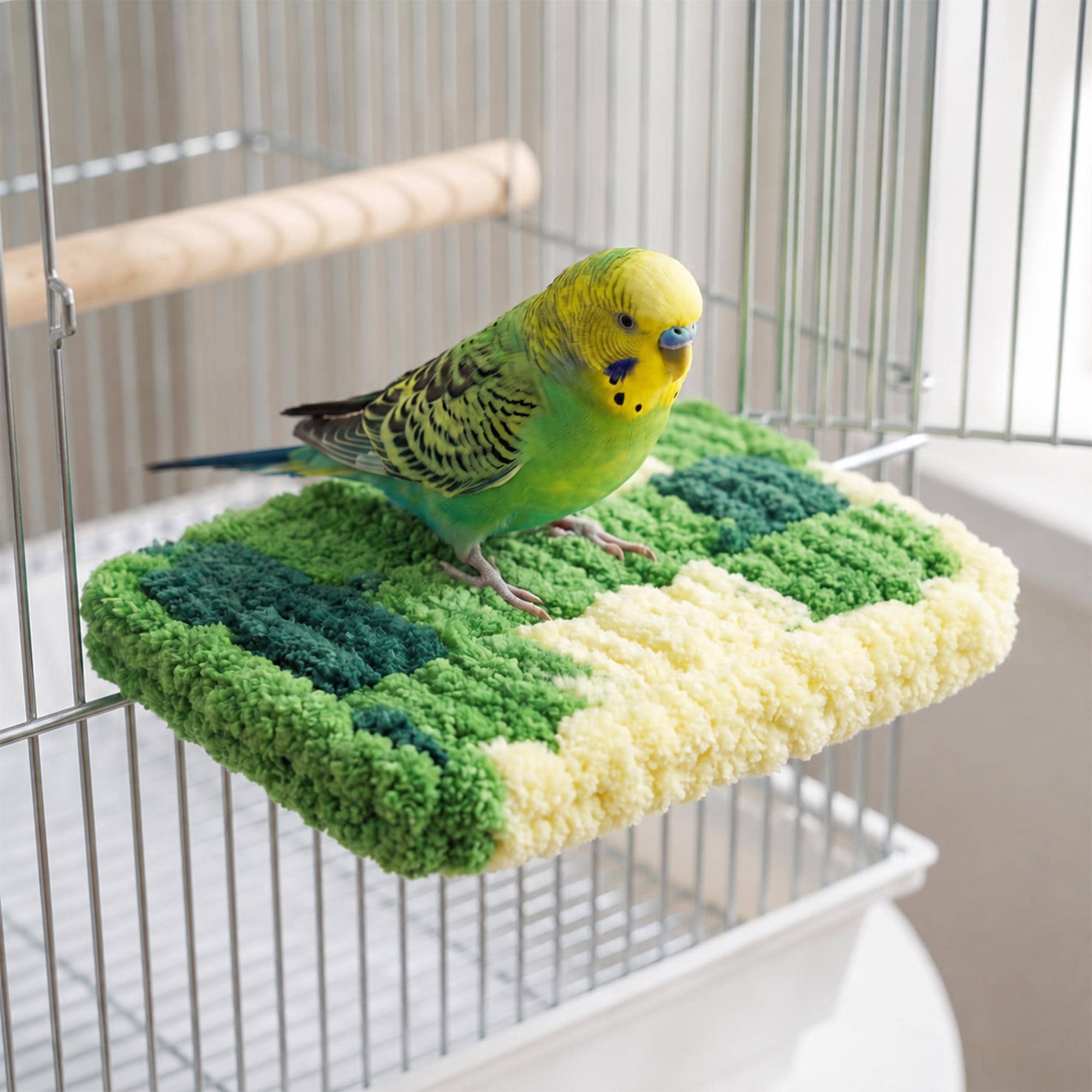 セキセイインコのケージ - Etsy 日本