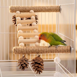 Pode incluir: Um pequeno inseparável verde e laranja pousado num brinquedo para aves dentro de uma gaiola de arame branca. O brinquedo apresenta dois poleiros horizontais de sisal, uma escada de madeira com contas claras e duas pinhas castanhas penduradas.