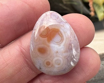 AAA Ocean Jasper Cabochon. Natural Jasper. Orbicular jasper. Green Peach White. Teardrop shaped stones. Pear Jasper