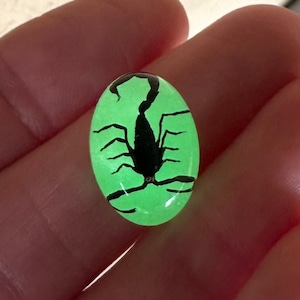 May include: An oval-shaped, glowing green cabochon with a black scorpion design. The scorpion is depicted in a detailed silhouette, with its pincers and tail clearly visible. The cabochon is held in a hand.