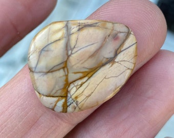 Picasso Cherry Creek Jasper Cabochon: Shield Shape Stone (23mm x 18mm)