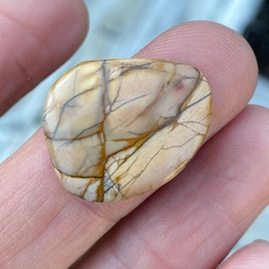 Cabujón de jaspe Cherry Creek de Picasso: piedra con forma de escudo (23 mm x 18 mm)