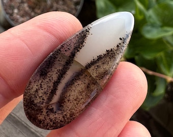 Vacker Montana Agat Cabochon. Droppformade stenar. Naturliga agater. Agat Cabochon. Stora droppformade cabochons. Dendritisk