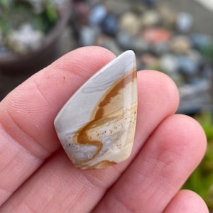 Wild Horse Picture jasper cabochon. Scenic Cabochons. Landscape jasper. Picture stone.