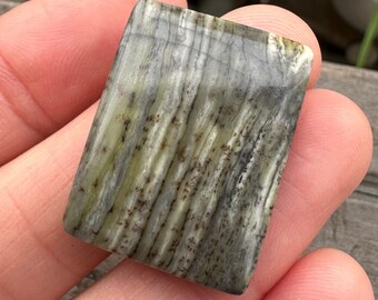 Fossilized wood cabochon. Opalized stones. Fossil Wood. Green Grey stones. Natural stone. Petrified. Fossils. Rectangle