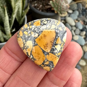Puede incluir: Una piedra pulida en forma de l&aacute;grima con un patr&oacute;n de mosaico. La piedra presenta grandes parches irregulares de amarillo dorado y fragmentos m&aacute;s peque&ntilde;os de negro, gris y blanco. La piedra se sostiene en una mano, con un fondo borroso de plantas y rocas.