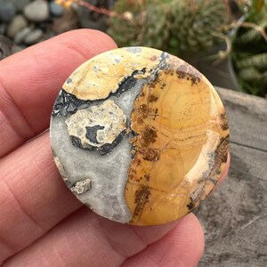 Cabujón de jaspe Maligano extragrande - Piedra para fotos escénicas (33 mm)
