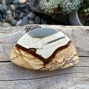 May include: A polished, semi-circular gemstone with a unique pattern. The stone features a blend of colors, including beige, brown, and gray, with intricate veining and a smooth, glossy surface. The gemstone is displayed on a piece of driftwood.