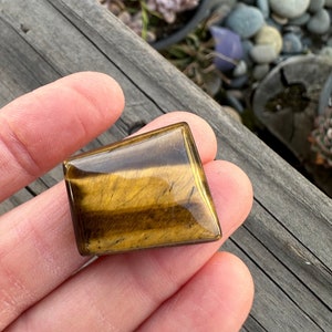 May include: A polished, square-cut tiger's eye gemstone. The stone displays a rich, golden-brown color with chatoyancy, creating a shimmering effect. The gemstone is held in a hand, with a blurred background of plants and wood.