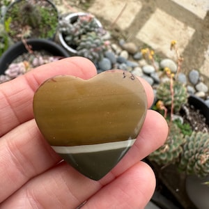 Large Picture Jasper Heart Stone: Double Sided Scenic Gem (35x36mm)