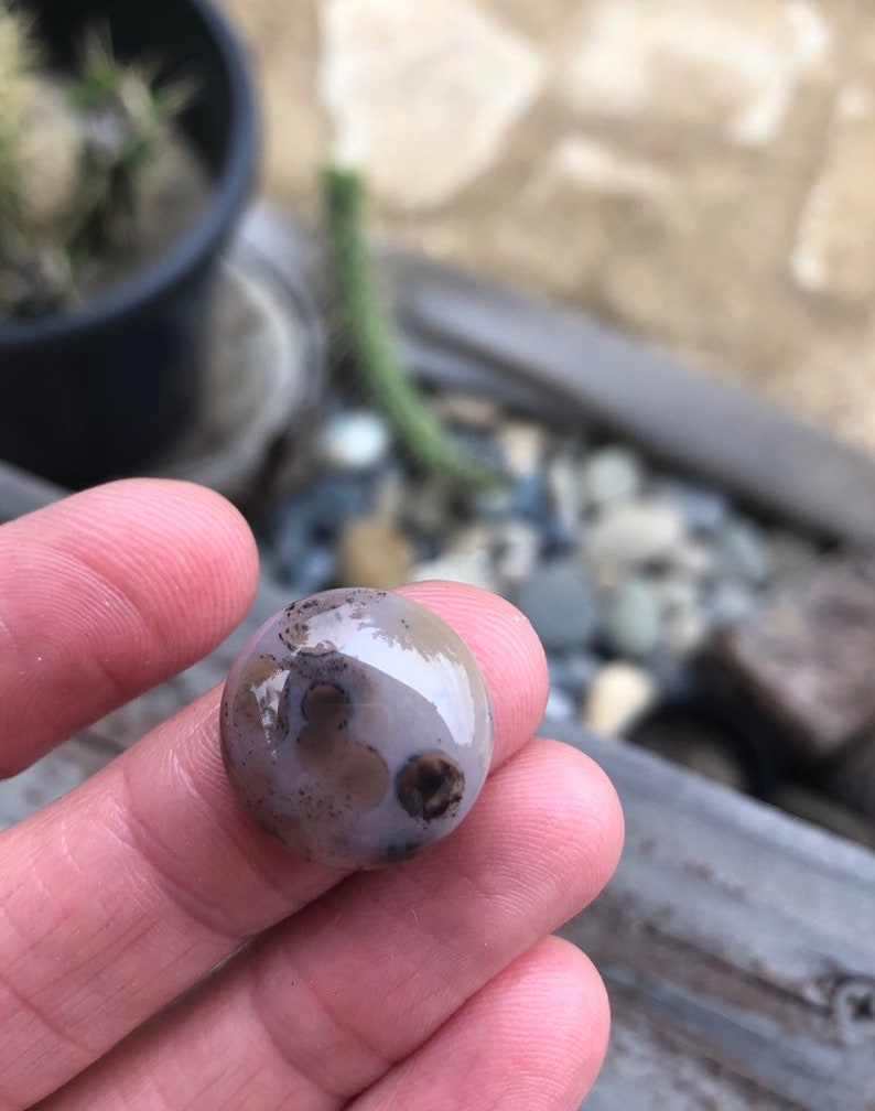 SOURCED orbicular jasper Spotted Stones Round stone 18mm Rounds 18mm Ocean Jasper cabochon Ocean jasper cabochons
