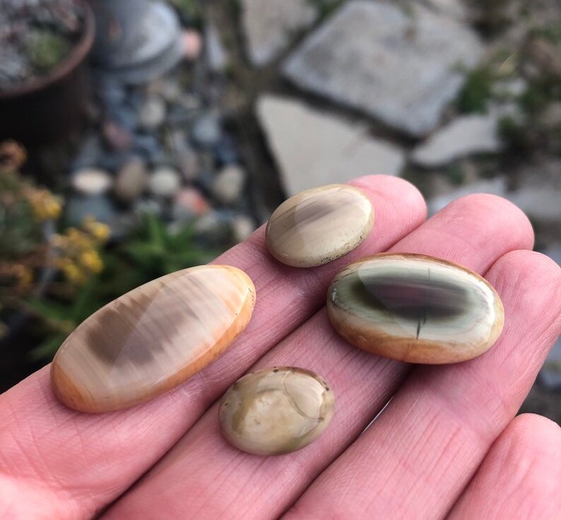 Natural Stone lot Pastel Imperial jasper Royal Imperial Jasper 4 Stones Four cabochons Earth toned Stone set Pairs SUPER SAVER SET