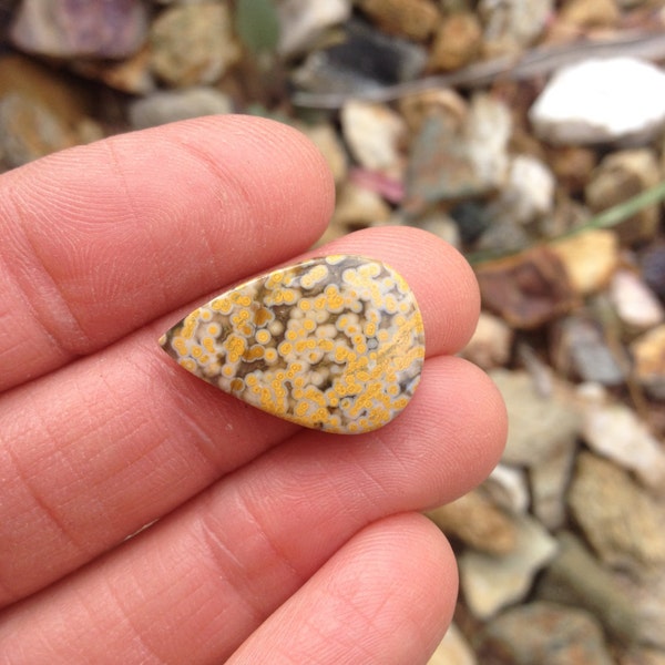 Ocean Jasper. Teardrop Jasper. DESTASH. Sale Cabs. Stones  on sale. Yellow, green brown pear shaped stone. Orbicular.
