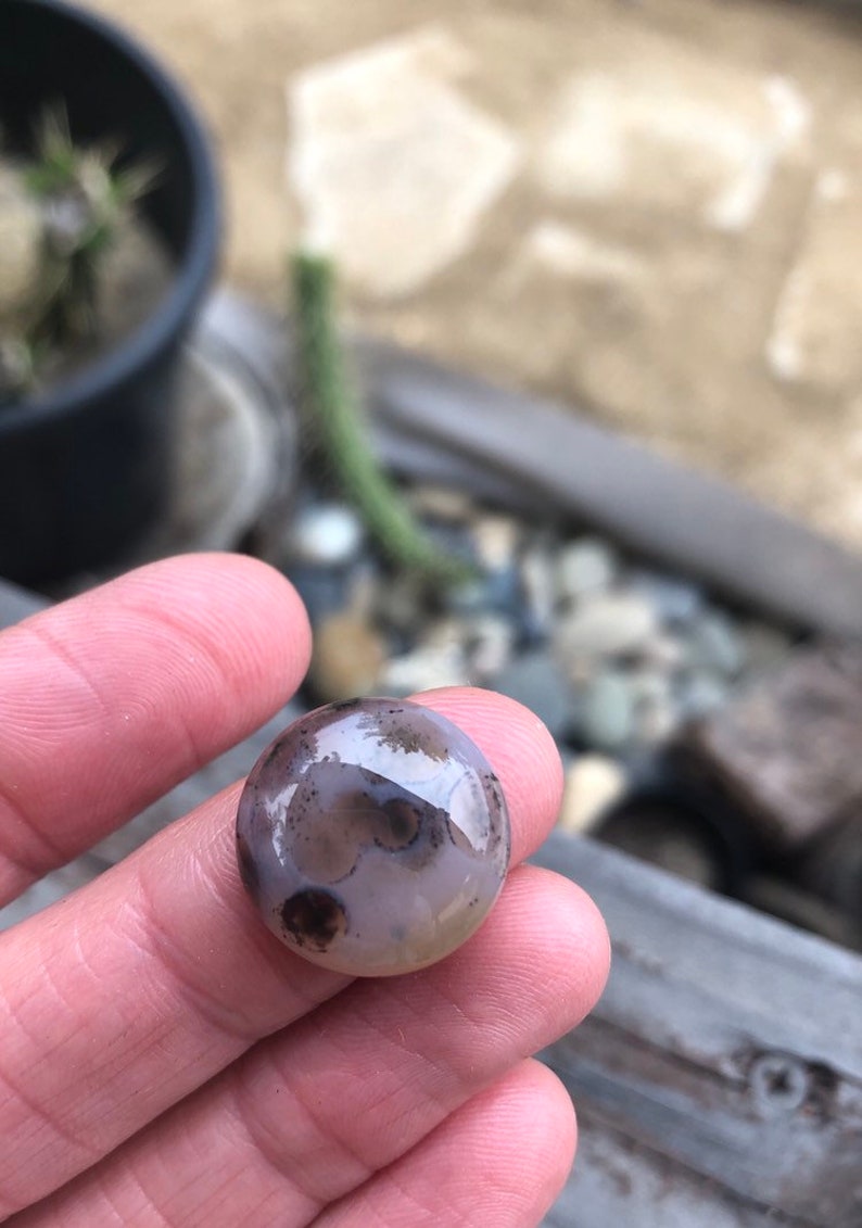 SOURCED orbicular jasper Spotted Stones Round stone 18mm Rounds 18mm Ocean Jasper cabochon Ocean jasper cabochons