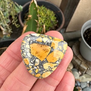 Puede incluir: Una piedra pulida, triangular, con un patr&oacute;n &uacute;nico. La piedra presenta un mosaico de colores, incluyendo tonos de amarillo, negro, gris y blanco. La piedra se sostiene en una mano, mostrando su tama&ntilde;o y forma. La est&eacute;tica general es natural y terrosa.