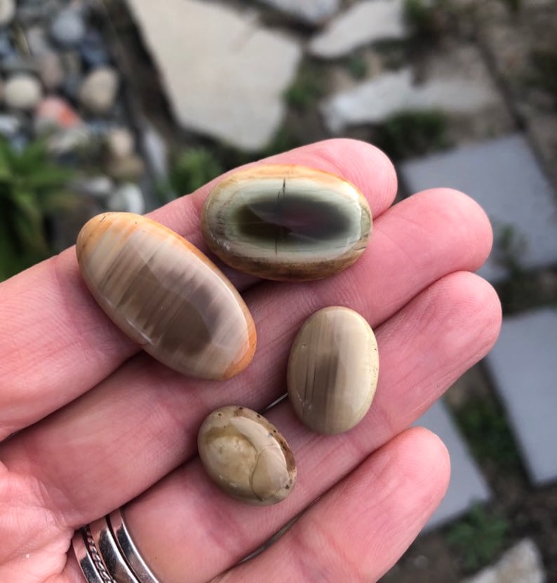 Natural Stone lot Pastel Imperial jasper Royal Imperial Jasper 4 Stones Four cabochons Earth toned Stone set Pairs SUPER SAVER SET