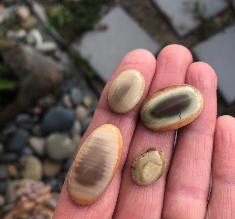 Natural Stone lot Pastel Imperial jasper Royal Imperial Jasper 4 Stones Four cabochons Earth toned Stone set Pairs SUPER SAVER SET